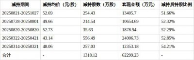 税友股份控股股东拟套现8.9亿元 此前已套现6.2