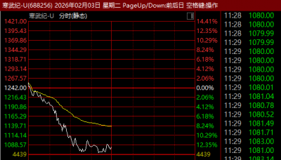 688256，股价突然重挫超12%！成交额