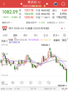 突发，AI芯片巨头大跳水，公司最新