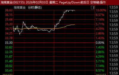 贵金属，午后异动！002155，盘中涨