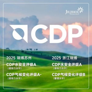 浙江瑞博、瑞博苏州CDP评级迈入A级