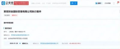 执行标的超4500万元！莱芜财金国贸