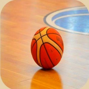 运动木地板选型指南:头部品牌核