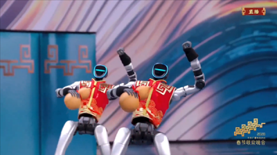 王兴兴:现阶段机器人技术与10岁小