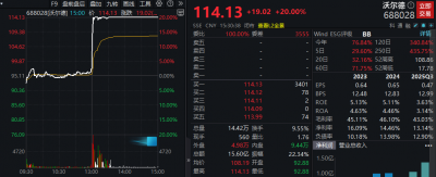 这一新兴概念午后异动!688028,直