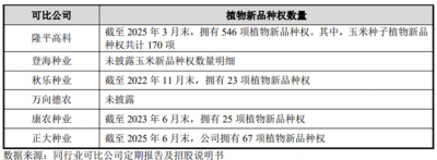 正大种业产业优势分析