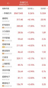 “断气”危机引爆存储芯片，概念