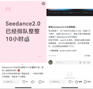 Seedance，摸着Sora过河