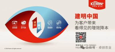 卓创资讯观察--成本与需求夹缝中的分化：进口针