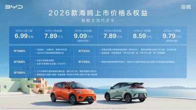 A00级首次搭载激光雷达 比亚迪2026款海鸥上市：
