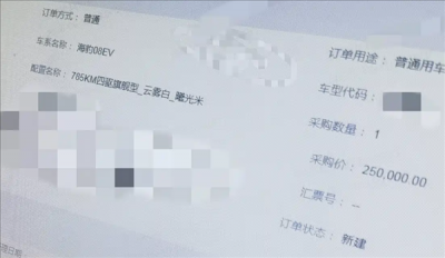 综合续航破千！比亚迪海豹08将于7月初上市：预