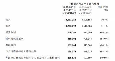 营收大增、净利暴跌 阅文上半年为何增收不增利