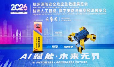 织灵 Coda Loom 2.0 亮相AI Hangzhou 202