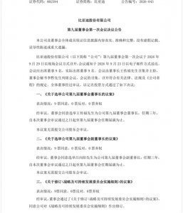 比亚迪完成董事会换届：王传福获全票连任，掌