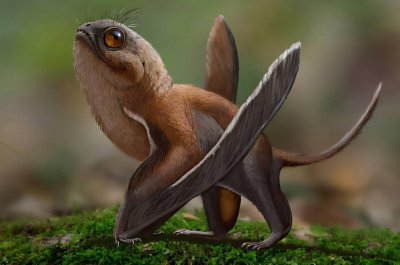 《方舟生存进化》新翼龙能成为玩家的翅膀，带