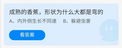 成熟的香蕉形状为什么大部分是弯的？ 9.20蚂蚁庄