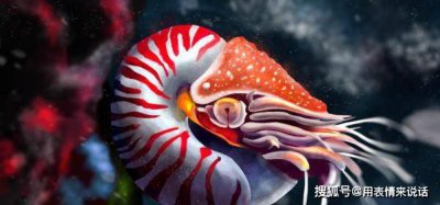 鹦鹉螺是海螺吗？支付宝神奇海洋9月23日最新答