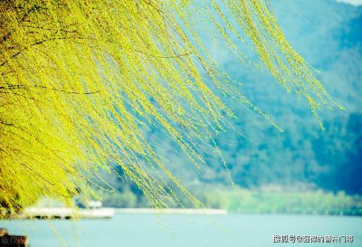 春日名句等闲识得东风面下一句是 万紫千红总是