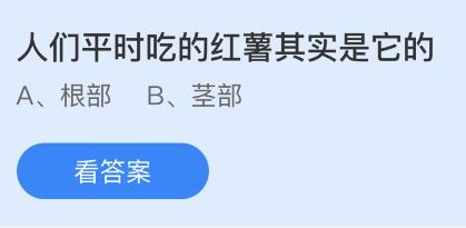 人们平时吃的红薯其实是它的哪个部位？蚂蚁庄园4.8今日答案最新