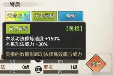 最强祖师弟子选择