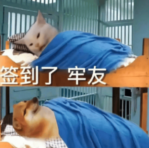 回合制养成类游戏 难道真的只能玩挂机？