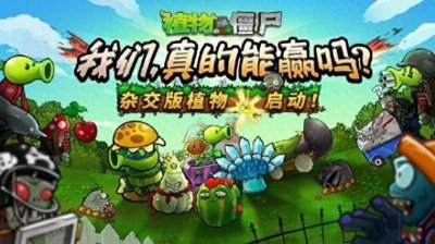 《植物大战僵尸杂交版》作者初中毕业 直言做游