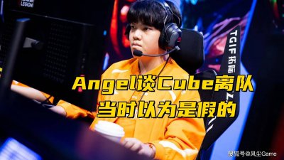 TES搏至无憾口号被盗！多兰锐评T