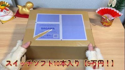 日本玩家展示斥资5万二手Switch游戏福袋 里面究竟