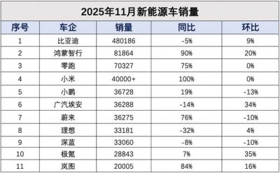11月新能源车销量榜大洗牌:零跑九连增再创新高
