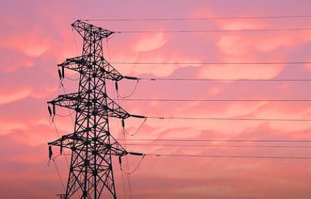 卫光生物董事长张战: 全方位创新提升核心竞争