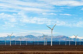 真爱美家：公司目前没有跨境电商业务