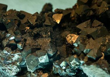 中科曙光获341家机构调研：未来两个公司将分别